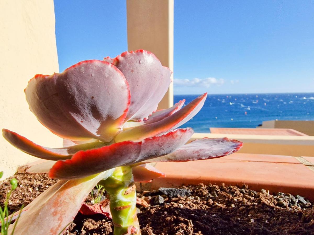 Medano4You The Ocean Terrace Penthouse El Medano  Bagian luar foto